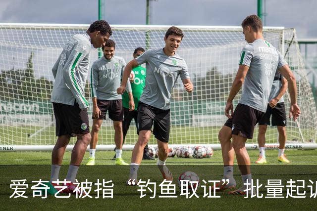 爱奇艺被指“钓鱼取证”批量起诉小企业